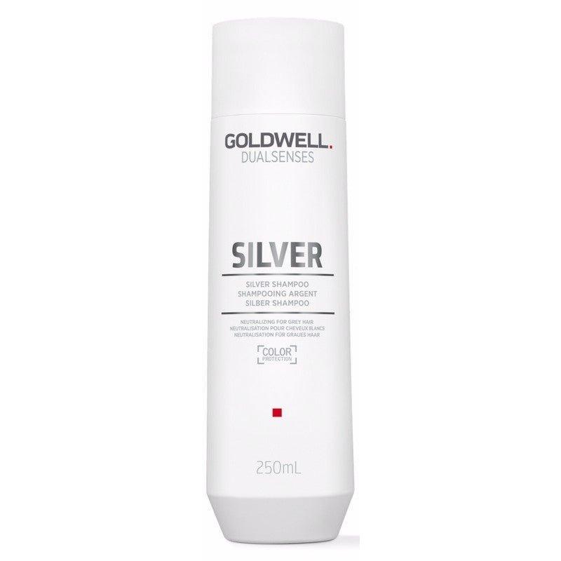 Goldwell DualSenses Silver Shampoo 10.1oz - Goldwell | Hair Color USA