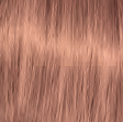 AE TF 10/42 DEEP BLONDE COPPER IRIS
